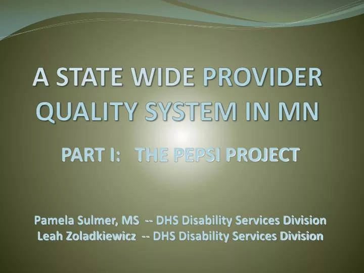 a state wide provider quality system in mn