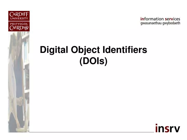 digital object identifiers dois