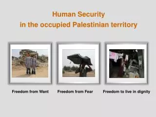 Human Security in the occupied Palestinian territory