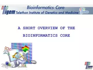 A short overview of the Bioinformatics Core