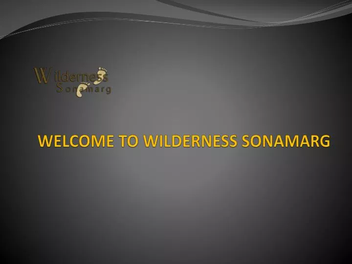 welcome to wilderness sonamarg