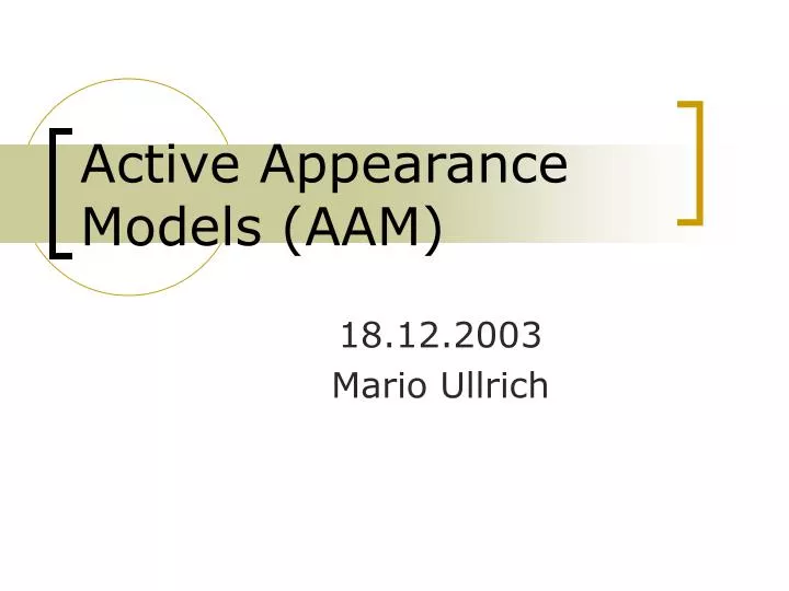 active appearance models aam