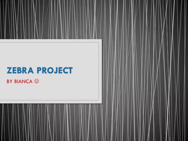 zebra project