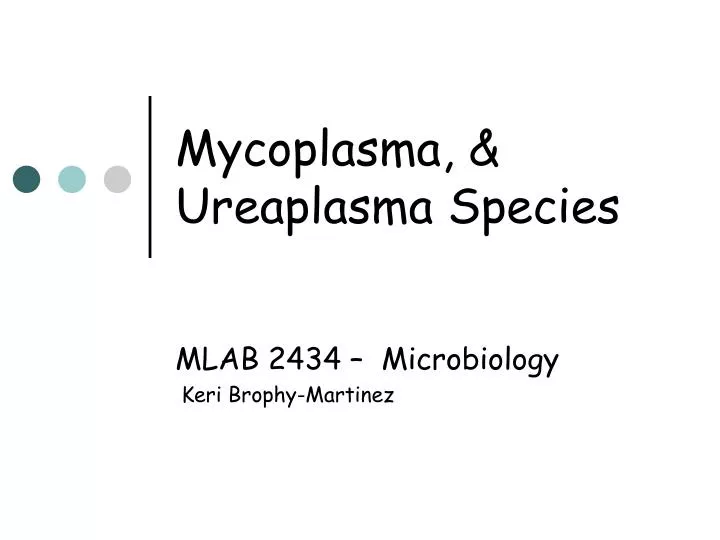 mycoplasma ureaplasma species