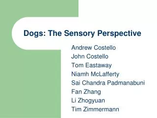 Dogs: The Sensory Perspective