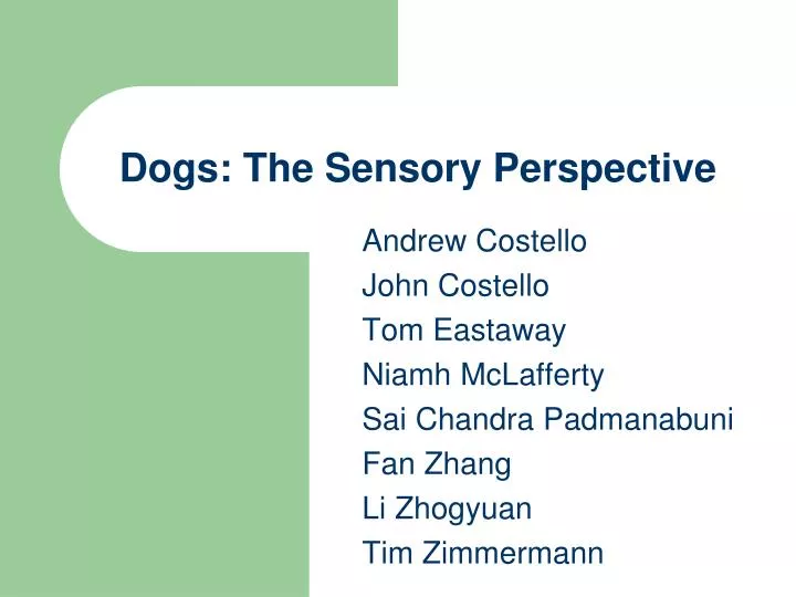 dogs the sensory perspective