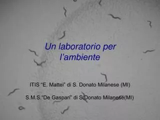 Un laboratorio per l’ambiente ITIS “E. Mattei” di S. Donato Milanese (MI)