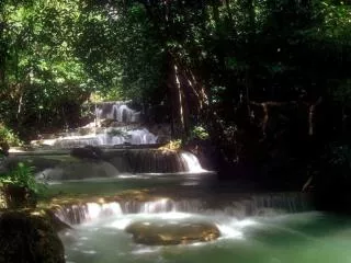 observa las cascadas