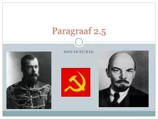 paragraaf 2 5