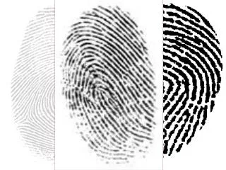 History of Fingerprinting in Japan