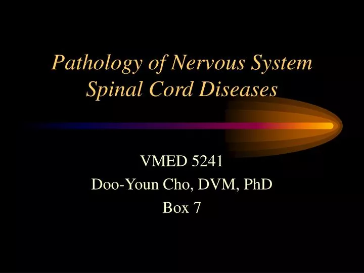 pathology of nervous system spinal cord diseases