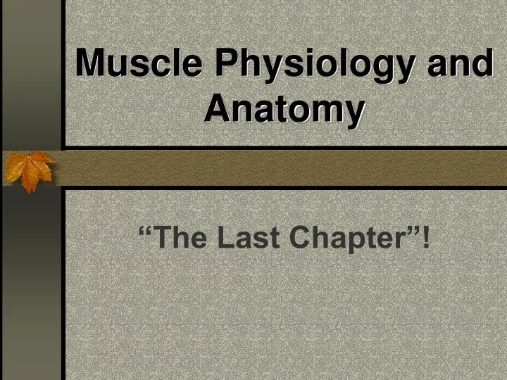 muscle physiology and anatomy