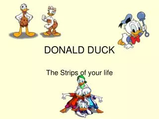 donald duck