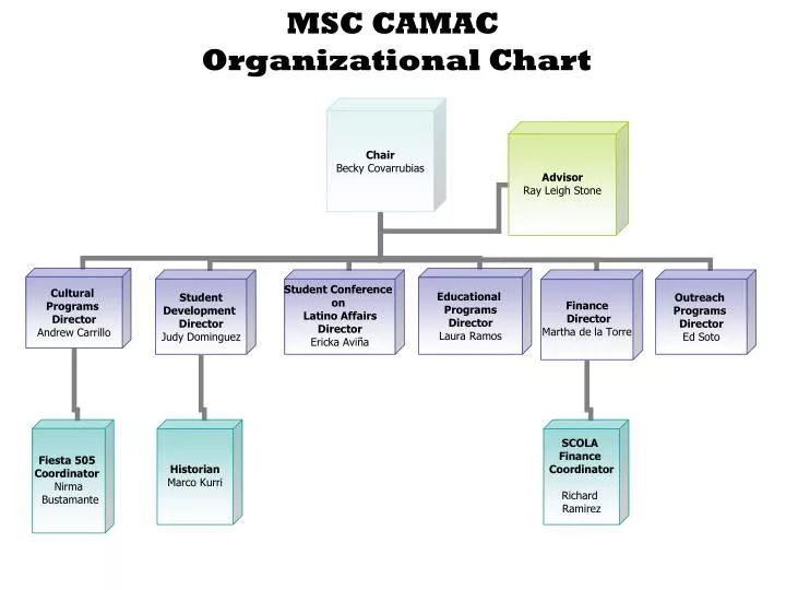 msc camac organizational chart