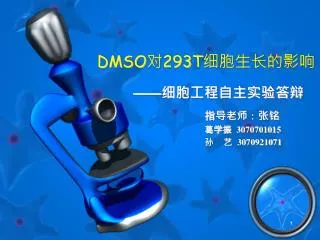 dmso 293t