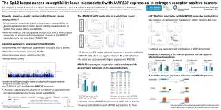 The MRPS30 eQTL replicates in a validation cohort