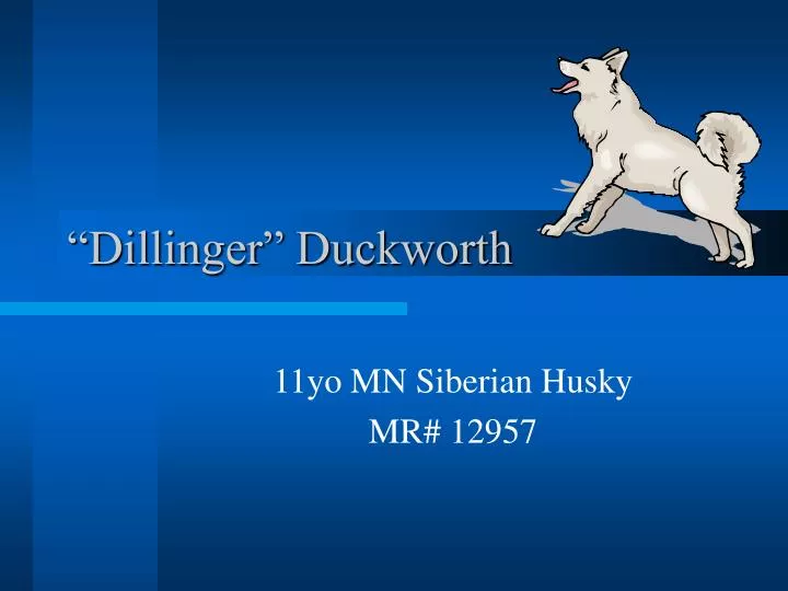 dillinger duckworth