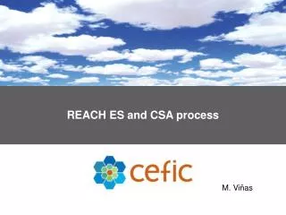 REACH ES and CSA process