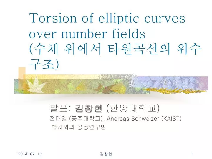 torsion of elliptic curves over number fields
