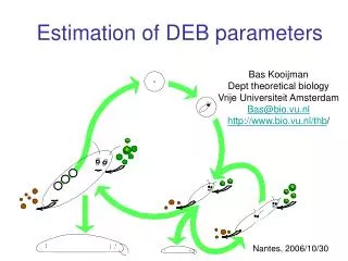 Estimation of DEB parameters