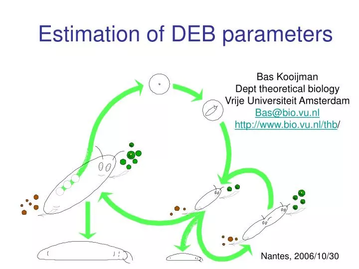 estimation of deb parameters
