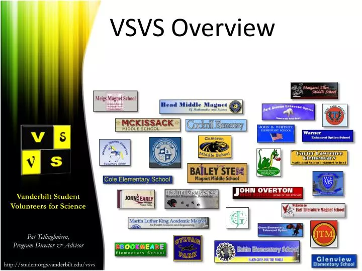 vsvs overview