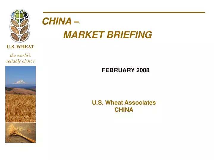 china market briefing