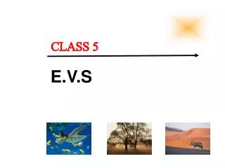 CLASS 5