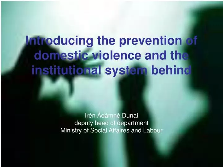 introducing the prevention of domestic violence and the institutional system behind