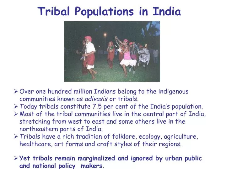 tribal populations in india