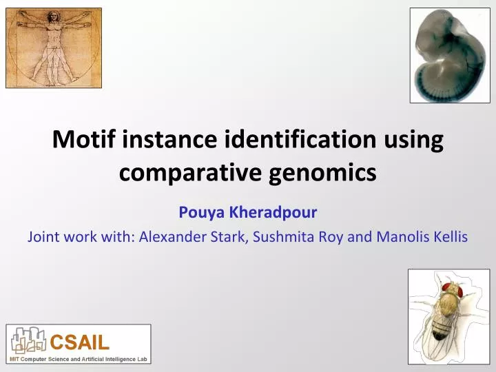 motif instance identification using comparative genomics
