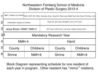 Northwestern Feinberg School of Medicine Division of Plastic Surgery 2013-4