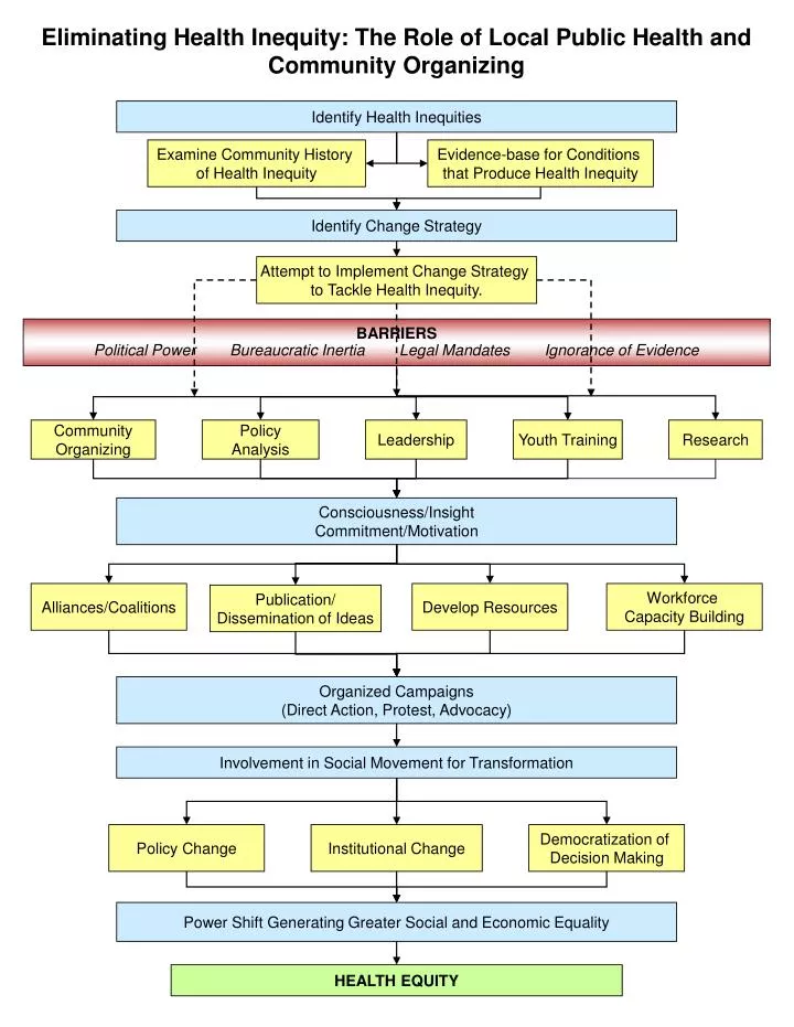 eliminating health inequity the role of local public health and community organizing