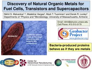 Discovery of Natural Organic Metals for Fuel Cells, Transistors and Supercapacitors
