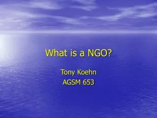 What is a NGO?