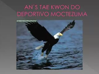 AN`S TAE KWON DO DEPORTIVO MOCTEZUMA