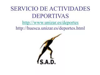 servicio de actividades deportivas http www unizar es deportes http huesca unizar es deportes html