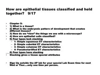 How are epithelial tissues classified and held together? 9/17