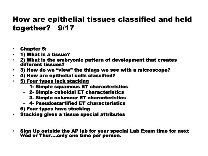 how are epithelial tissues classified and held together 9 17