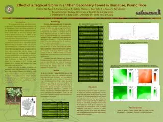 Effect of a Tropical Storm in a Urban Secondary Forest in Humacao, Puerto Rico