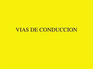 vias de conduccion