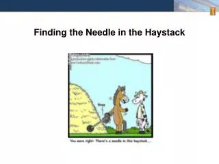 Finding the Needle in the Haystack
