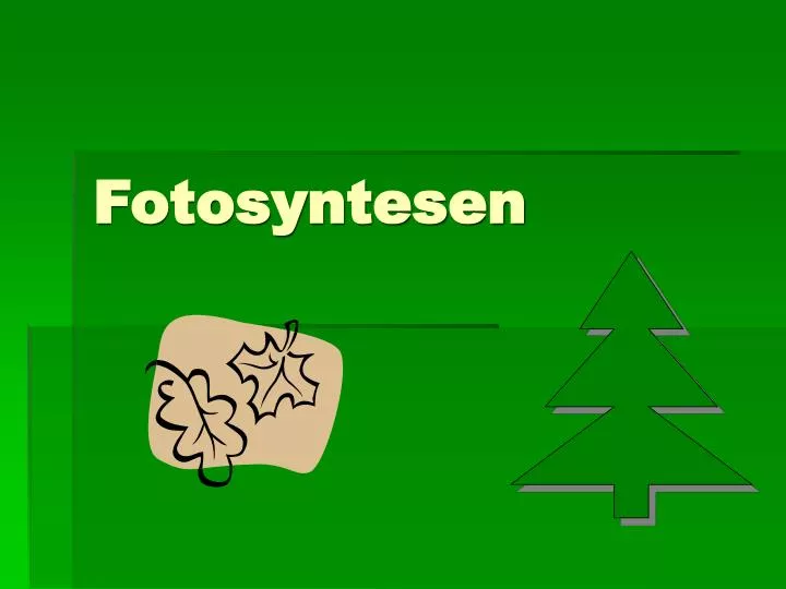 fotosyntesen