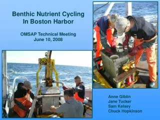 Benthic Nutrient Cycling In Boston Harbor OMSAP Technical Meeting June 10, 2008