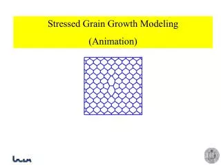 Stressed Grain Growth Modeling (Animation)