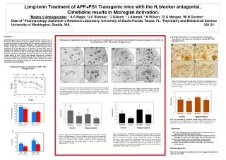 Long-term Treatment of APP+PS1 Transgenic mice with the H 2 blocker antagonist,