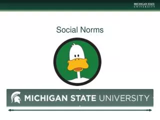 Social Norms