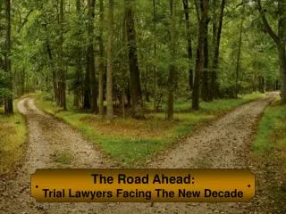 The Road Ahead : Trial Lawyers Facing The New Decade