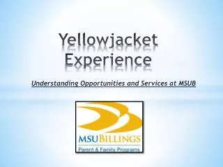 Yellowjacket Experience