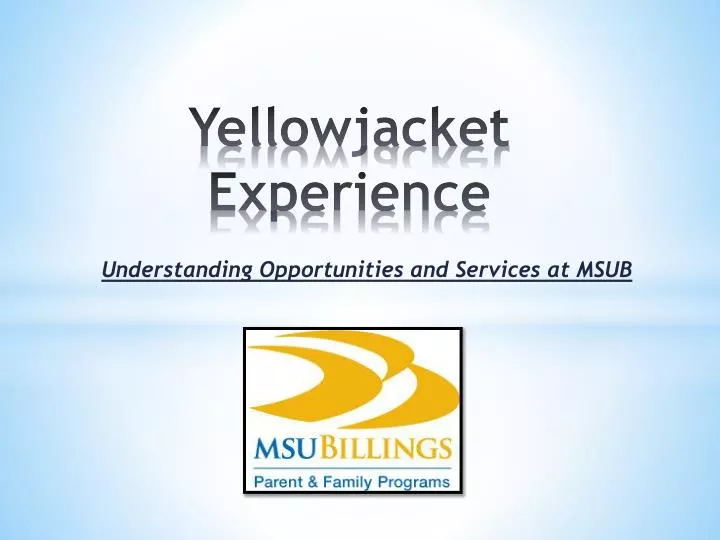 yellowjacket experience